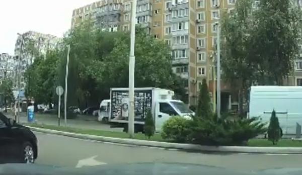 Рейсовый автобус снес дерево в Краснодаре: видео